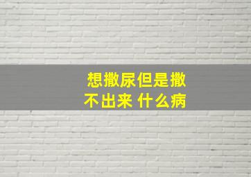 想撒尿但是撒不出来 什么病